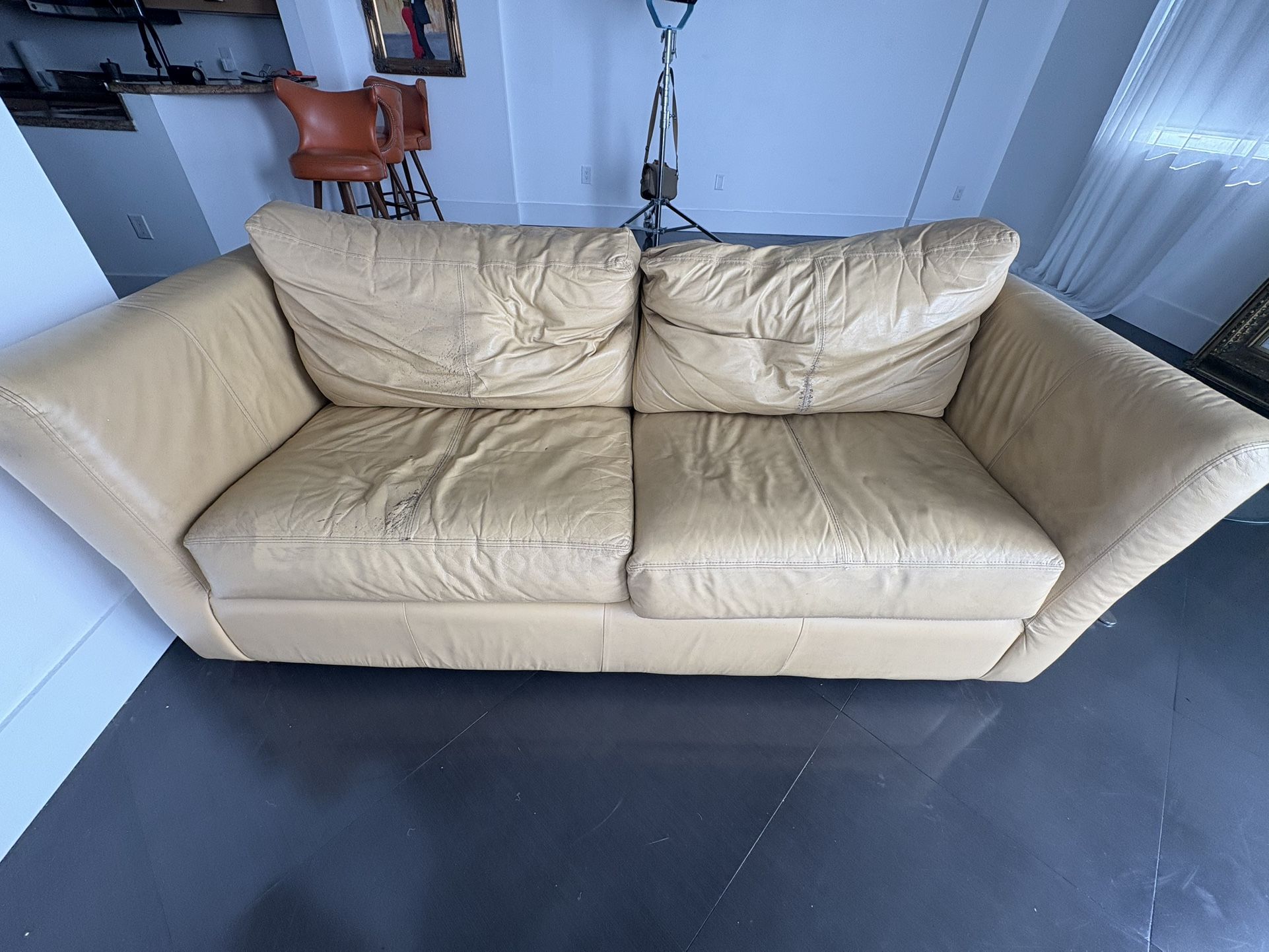 Leather Sleeper Couch