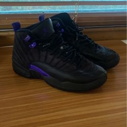 Air Jordan 12 