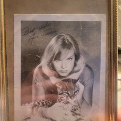 Anne Francis 1958 phantom signed picture