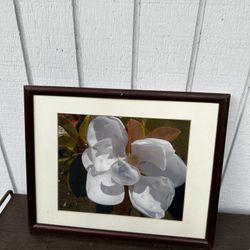 Framed Floral Art Print Picture 