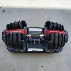 Bowflex,  Arm Weights 💪 , Just One