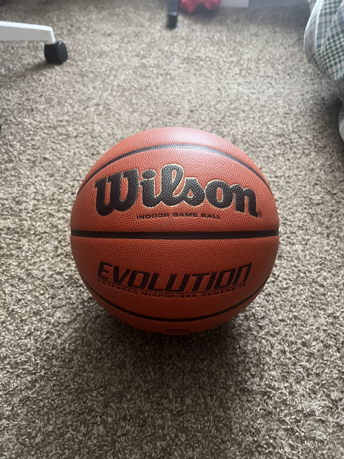 Wilson Evolution Ball (Brand New)