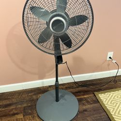 Fan 