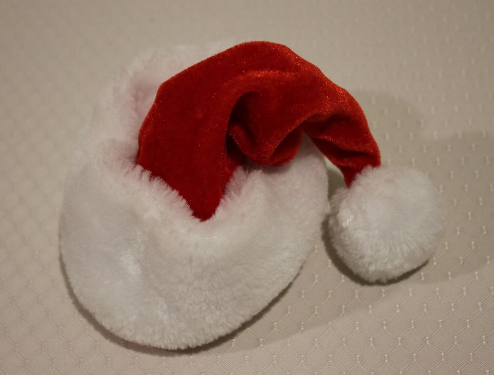 Pet Holiday Gear
