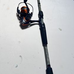Spinning Rod and Reel