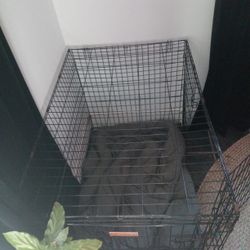 Large Dog Kennel
