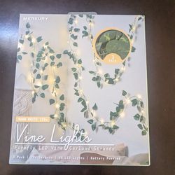 Lighted Vines 