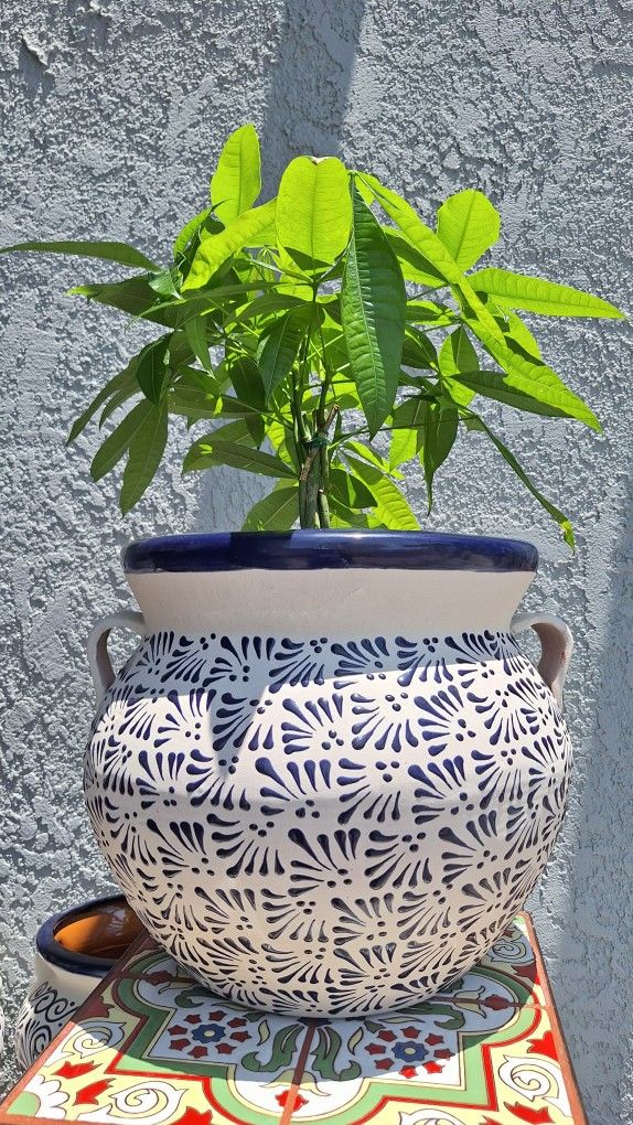 💥 Talavera Blue/white Medium Pot 💥