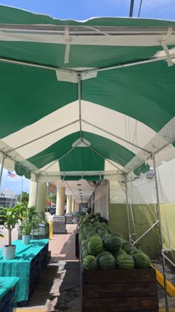 Carpa Weekender West Coast de 10'x20' con Marco para Fiestas (Verde/Blanco) Techo de PVC con Bolsa de Almacenamiento - Carpas para Fiestas, Bodas, Cum