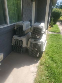 4 newish dog Kennels crates