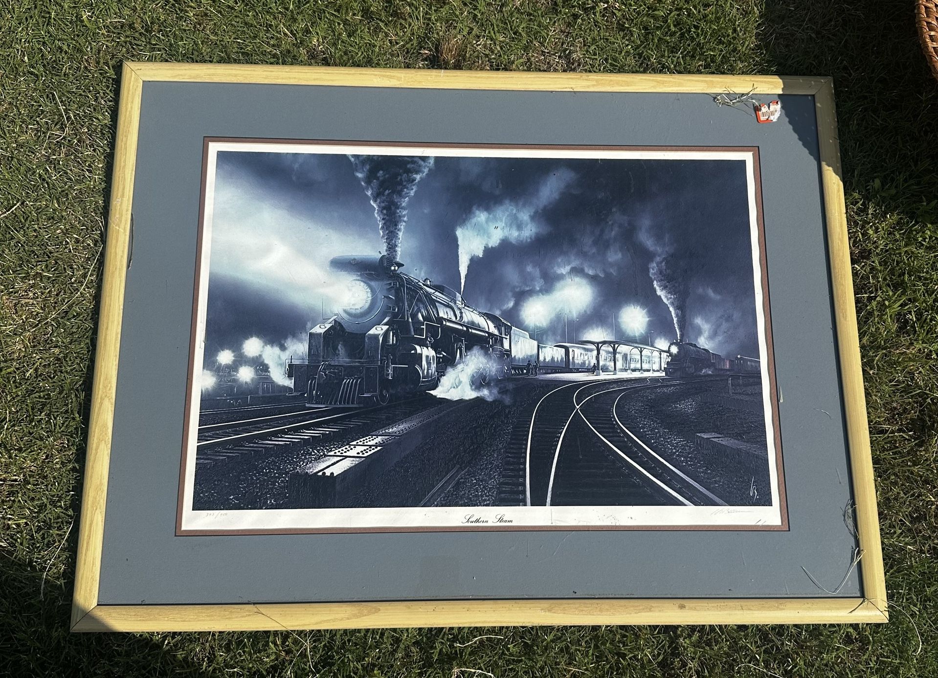 Southern Stem Lithograph Signed by artist Numbered 393/950 Framed