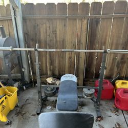Weight Bench 