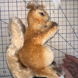 Steiff Vintage SQUIRREL Plush “Possy” Stuffed Animal 225?