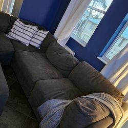 Sectional Sofa FREE!
