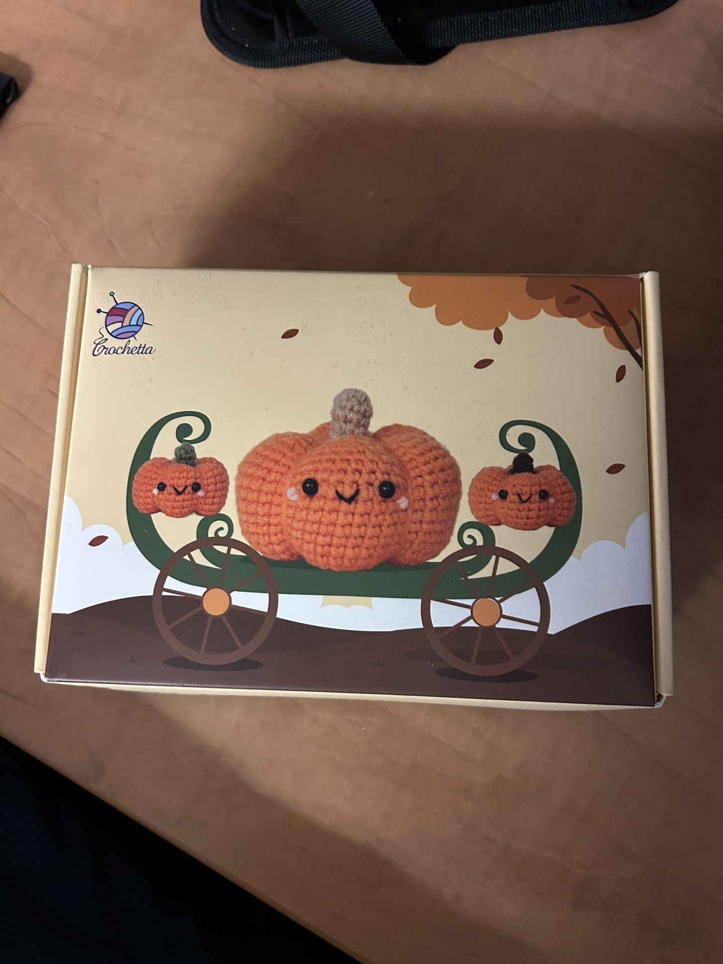 Beginner Crochet Set!