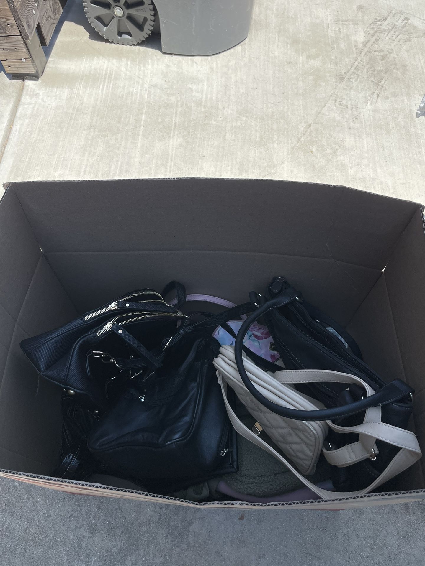 Women’s Purses