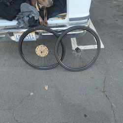 700c/29er Trek Bontrager 10- 11 Speed Wheel set 