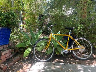 Vintage Stumpjumper Bike