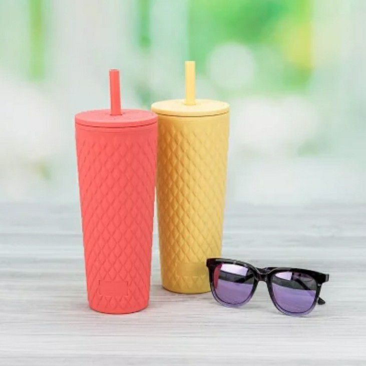 Zak Designs Cora 24 oz. Insulated Tumbler with Straw, 2 Pack for Sale in  St. Charles, IL - OfferUp