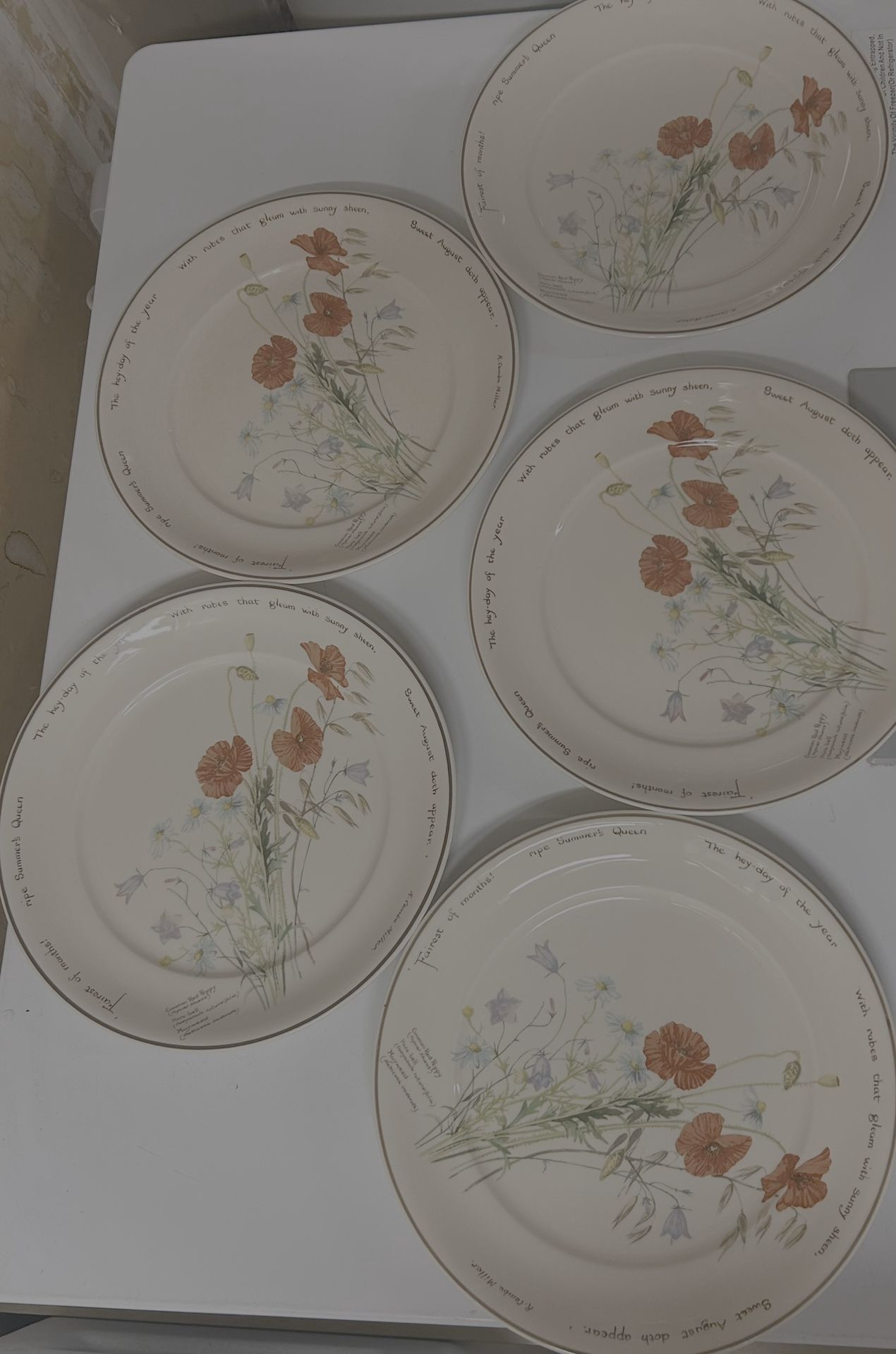 Noritake country Diary Of An Edwardian Lady Plates