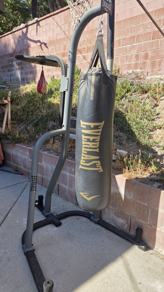 Punching Bag & Speed Bag & Stand (Everlast)