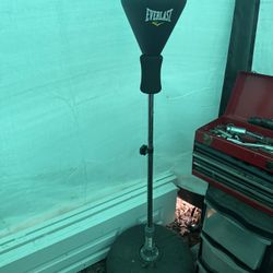 Everlast Core Reflex Bag 