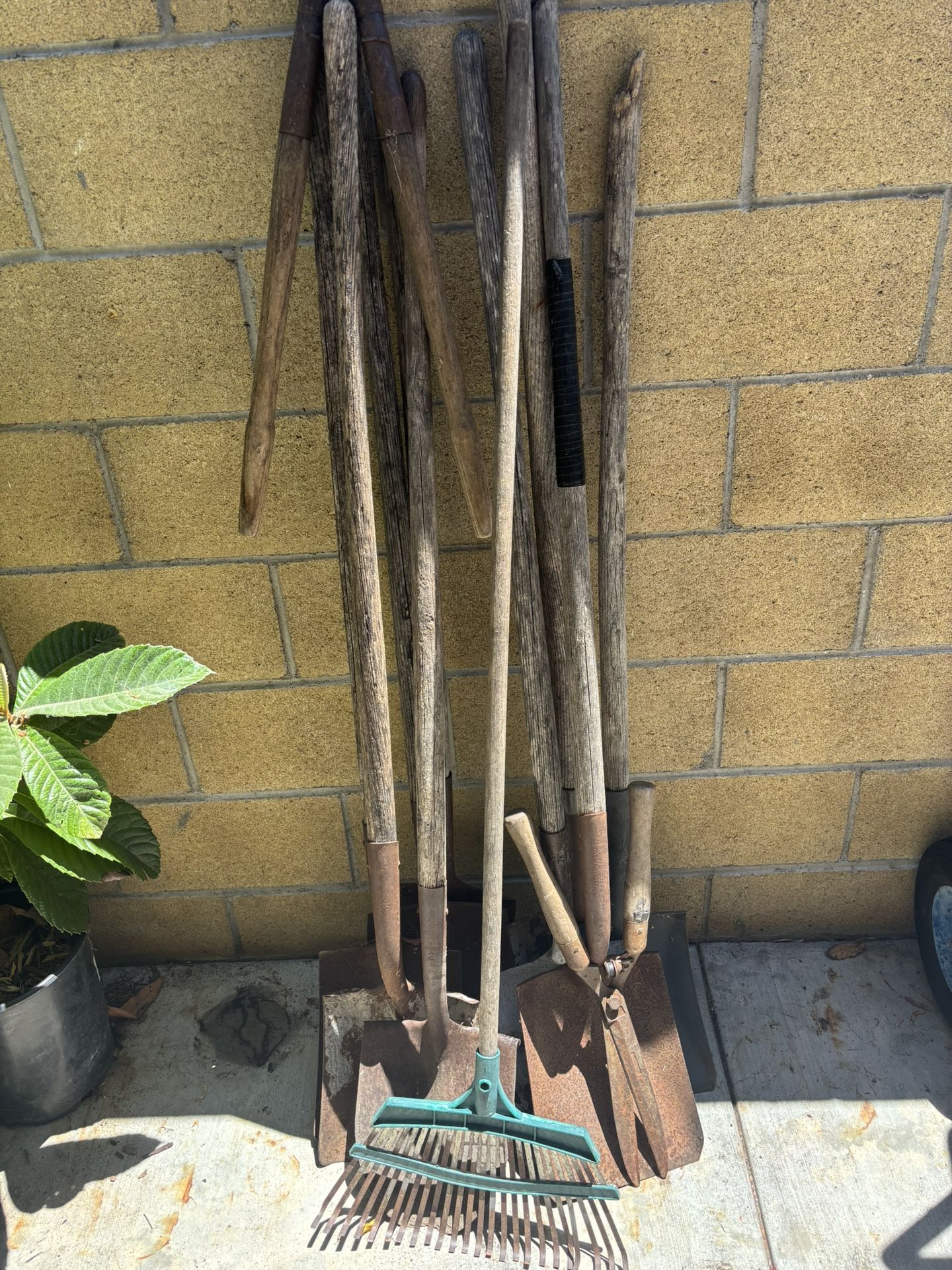 Shovels And Rake