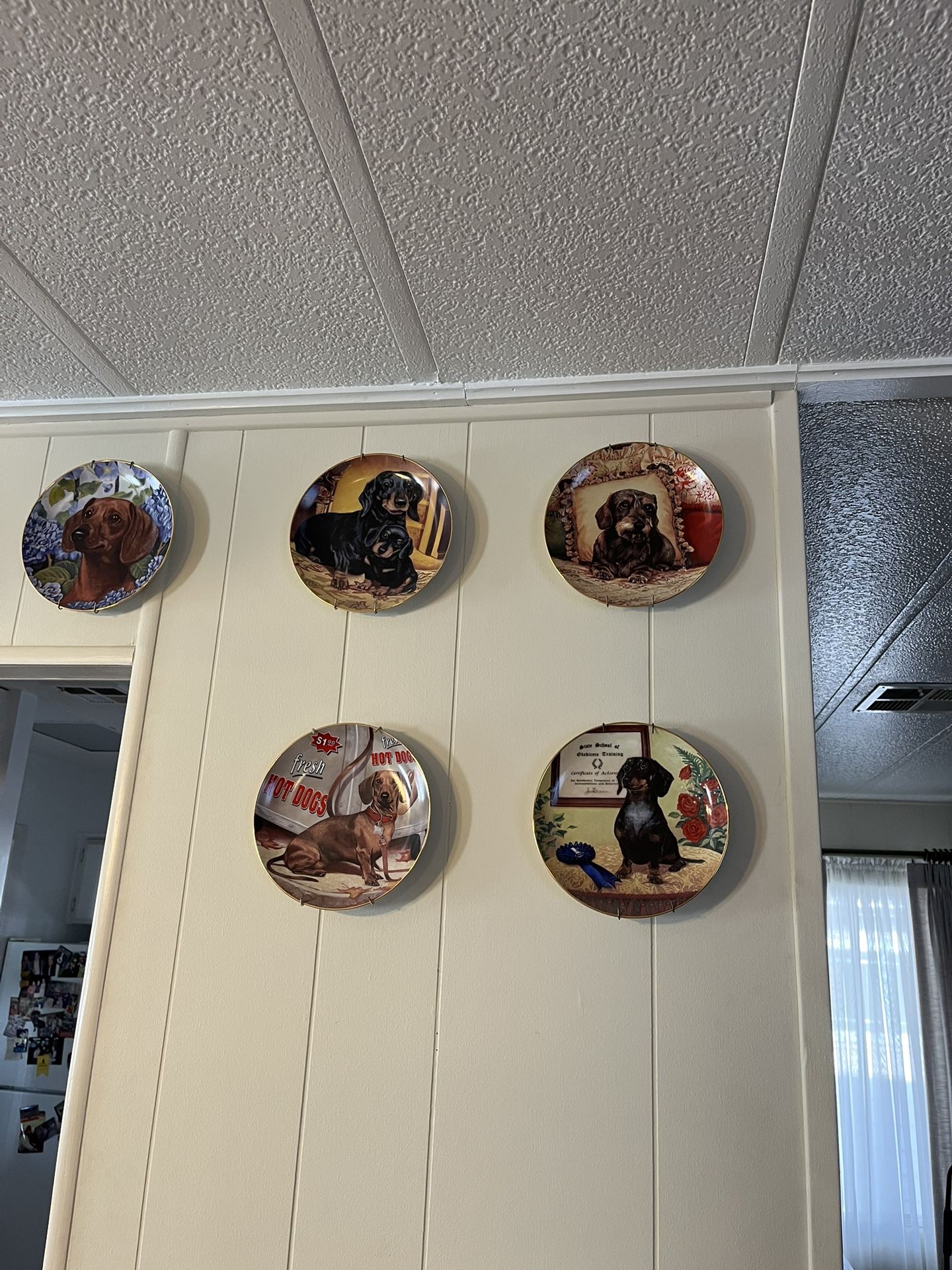 Dachshunds Porcelain Plate Collection