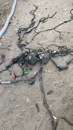 Wire harness 5.3 Chevy 04