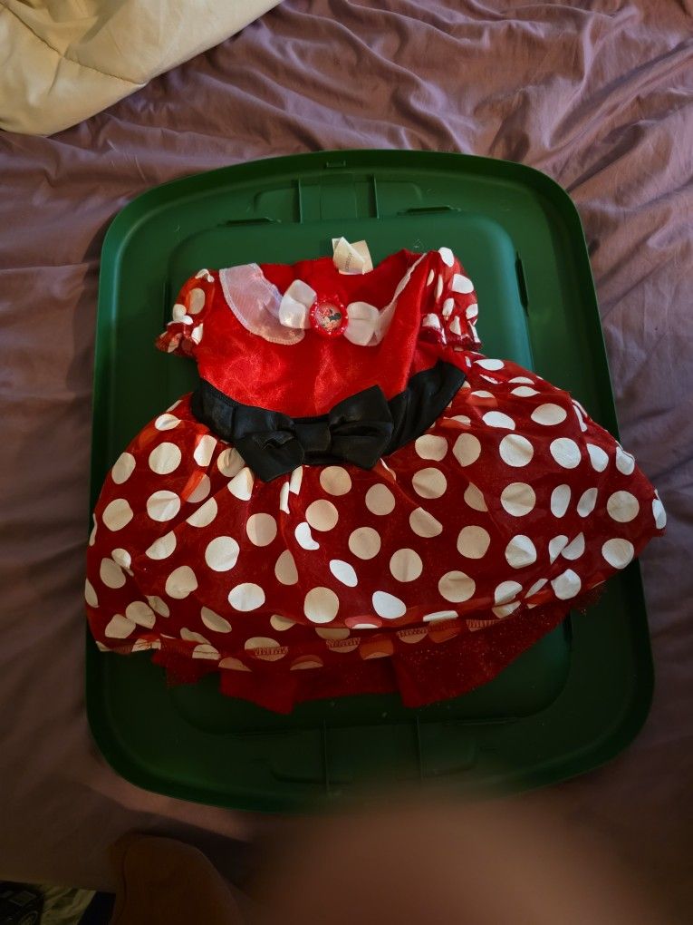 Minnie Mouse Costume