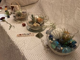 Handmade Airplant Arrangements 