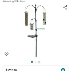 Deluxe Bird Feeding Station