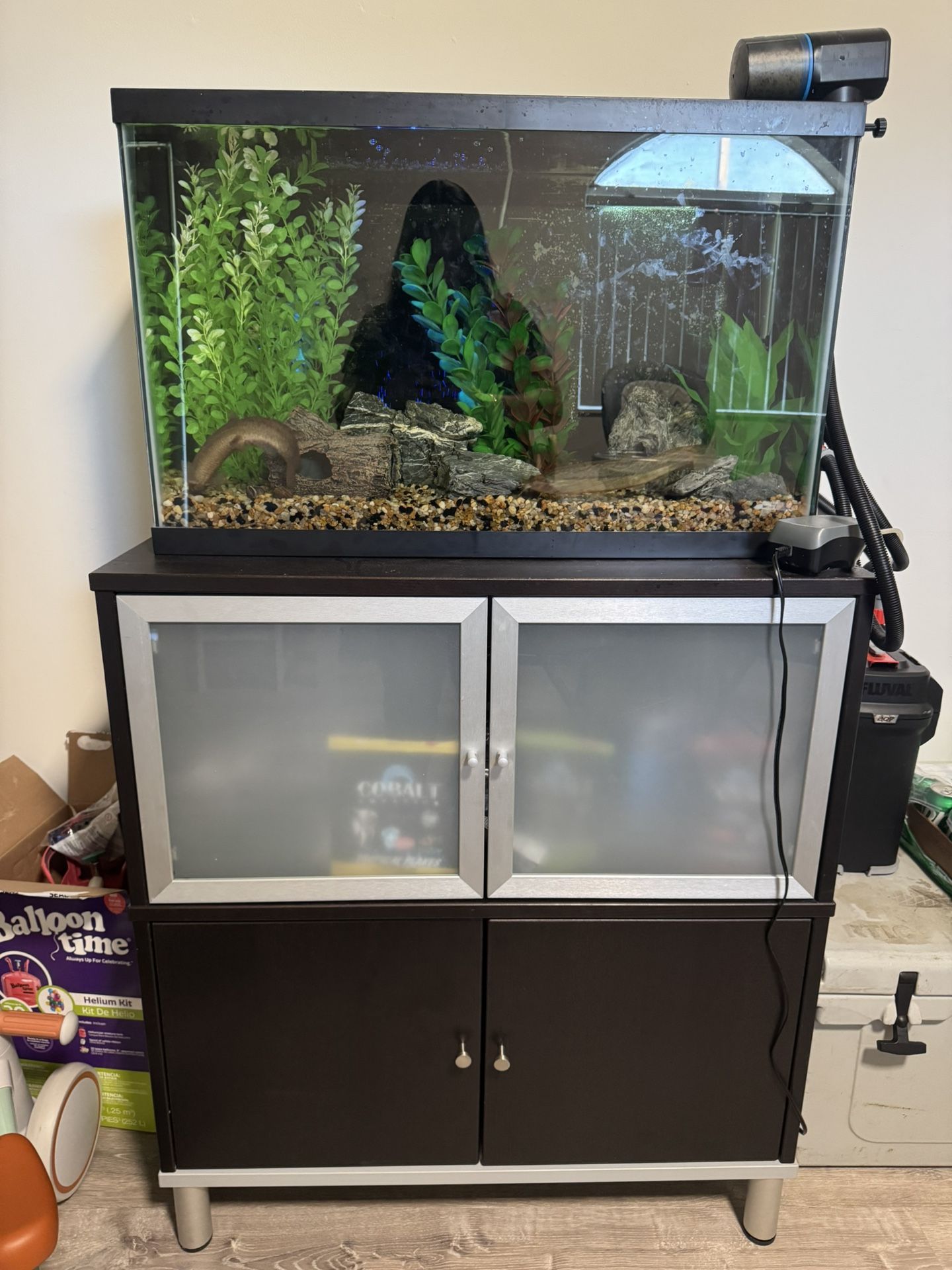 Fish Tank