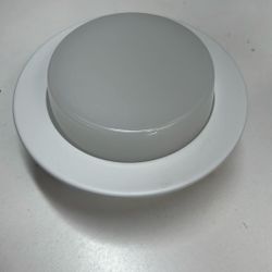 4 in. White Recessed Drop Opal Shower Trim
