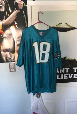 NFL jaguars jersey