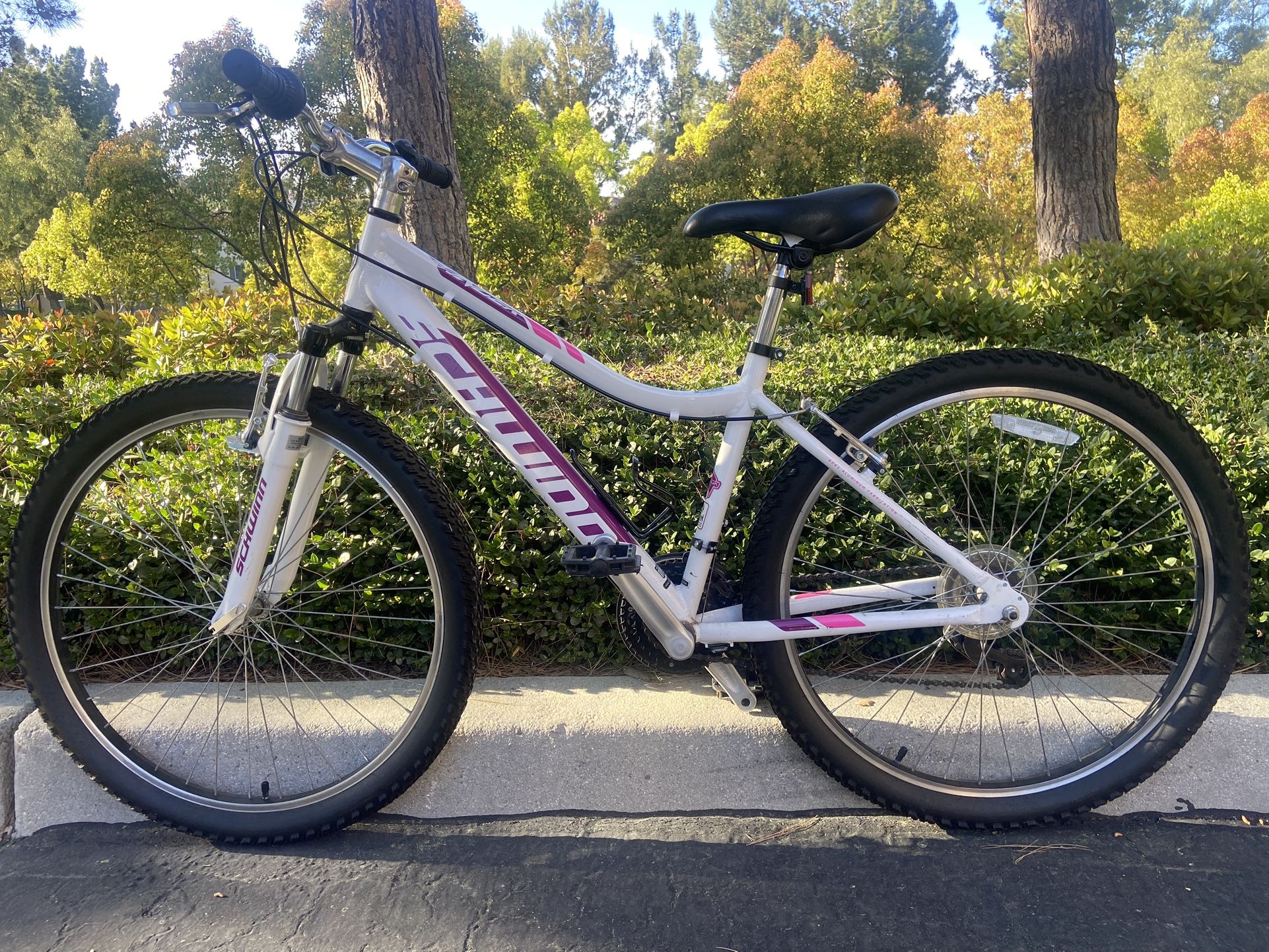 Mountain Bike ( Schwinn 26”)