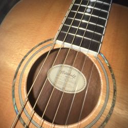 Acoustic Guitar Mitchell Acoustic Guitar Model MDJ-10/N Super Cute With Abolone
