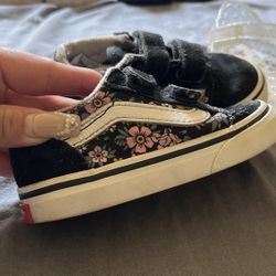 Vans 6c