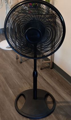 Fan