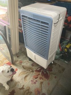 Portable swap cooler