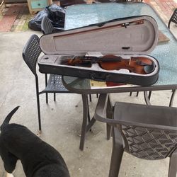 Violin