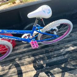 Sea Star Bike 