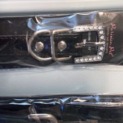 Designer Pet Leash & Matching Collar