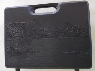 Plastic Pistol Carrying Case