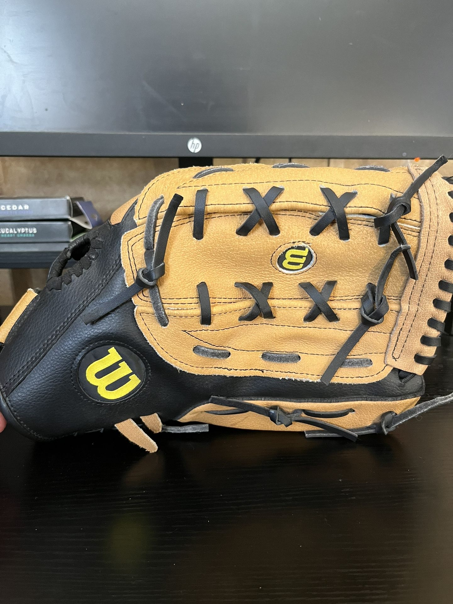 Baseball gloves