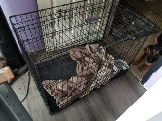 Dog Kennel- Med