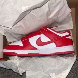 Brand New Nike Next Nature Dunks Size 10.5