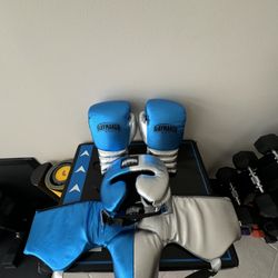 PROFESSIONAL BOXING GLOVES