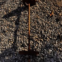 Mini Curling Bar With Weights