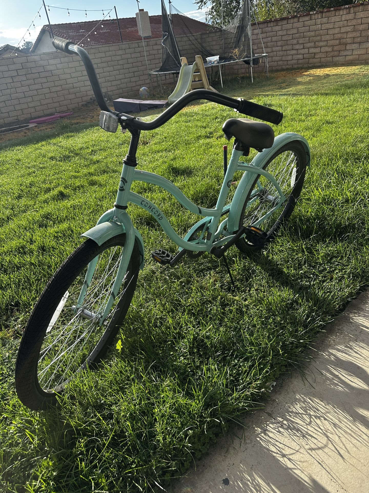 Beach Cruiser Bicycle